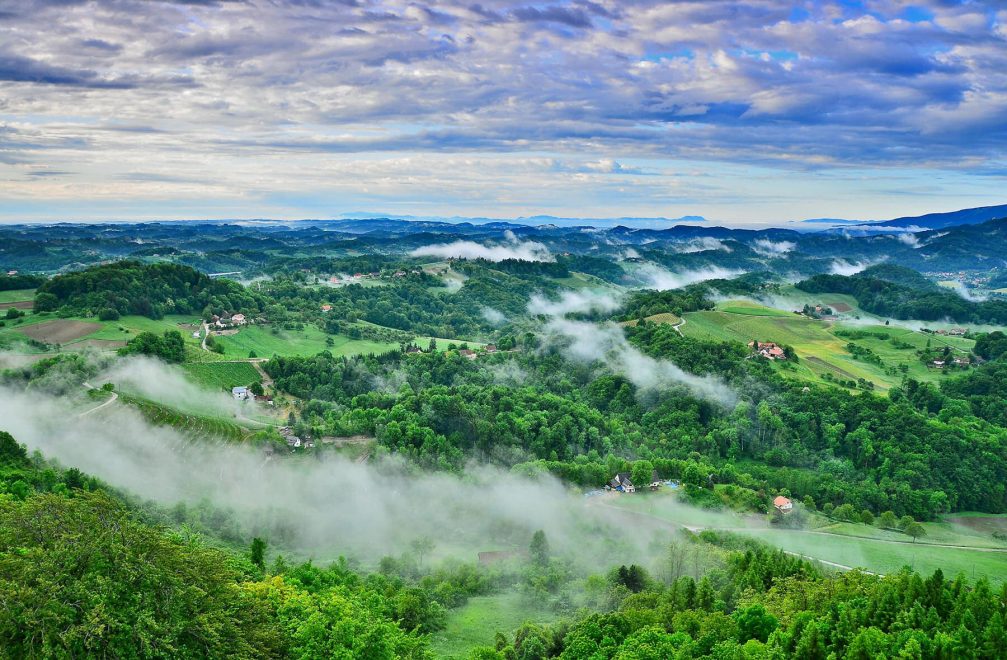 An elevated view of the hilly landscape of Slovene Hills from the Placki Stolp lookout tower