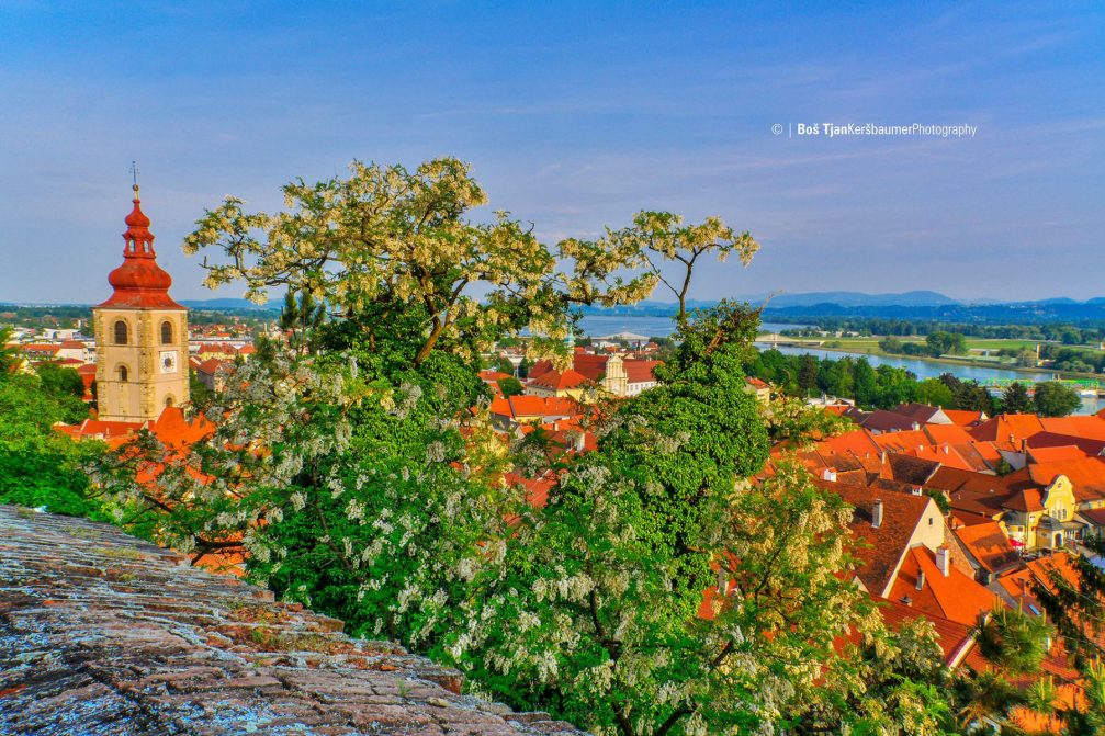 A beautiful elevated view of the town Ptuj, Slovenia