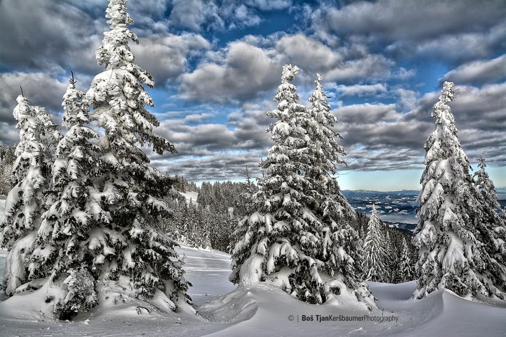 ribnisko-pohorje-winter