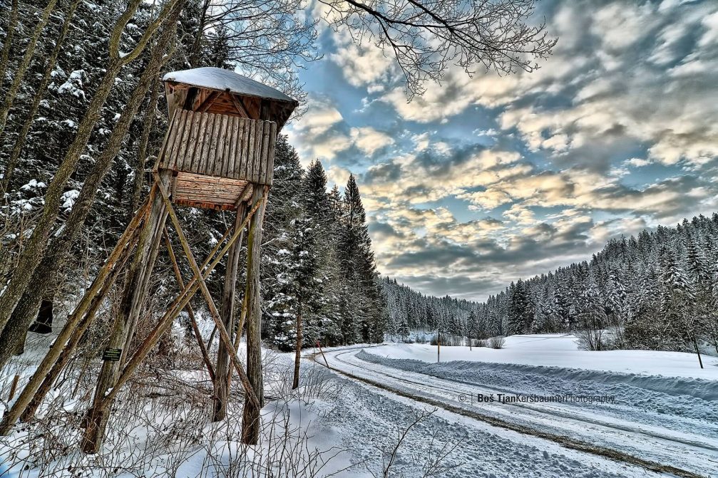 A winding road leading to the Spodnja Kapla village in the northeast of Slovenia in winter