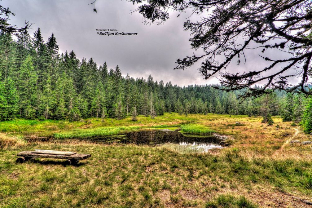 Tiho Jezero or Silent Lake at an elevation of 1,266 metres in the Pohorje Mountains, Slovenia