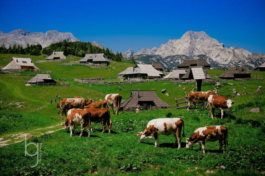 The high mountain herdsmen's settlement of Velika Planina in the Kamnik Alps in Slovenia