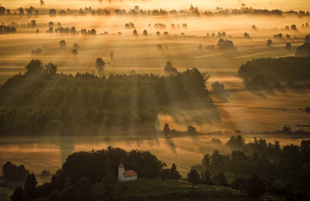 An elevated view of the Ljubljana Marshes