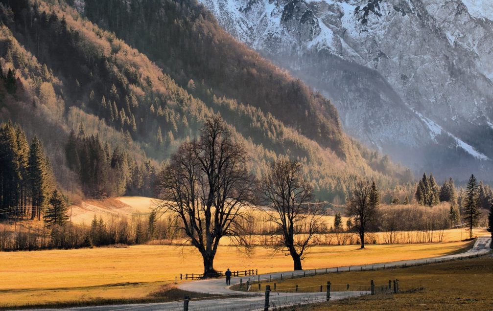 The Logarska Dolina valley in Slovenia on a beautiful sunny early spring day