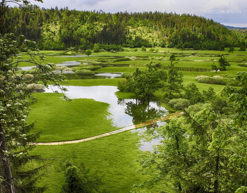 The partially flooded Planinsko Polje karst field in the Notranjska region of Slovenia