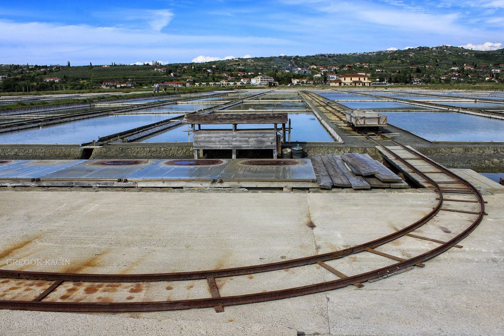 The Secovlje saltpans and nature park on the Adriatic coast of Slovenia