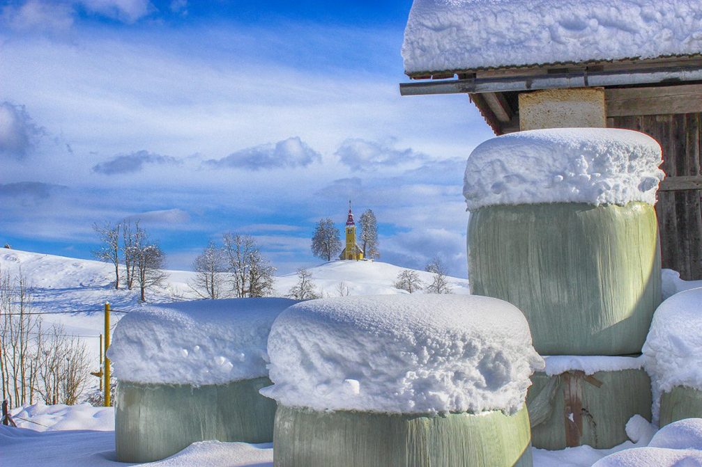 Plastic wrapped round silage bales stacked beside a barn in winter