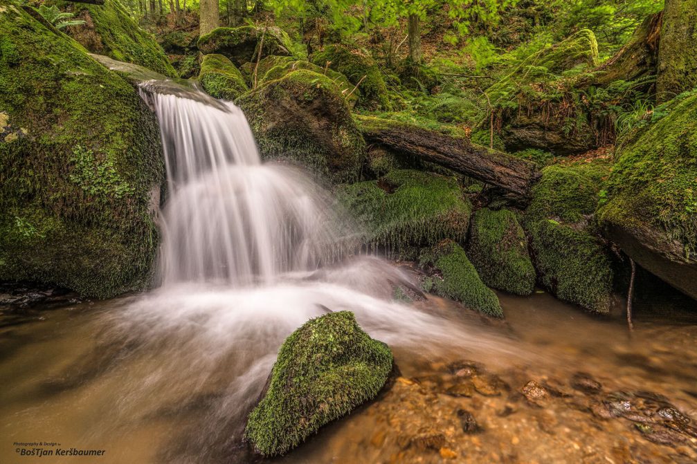 The Sosnarjev Graben stream near Vuhred, Slovenia