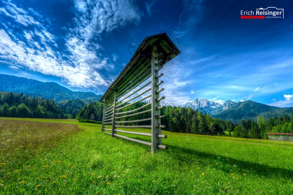 A typical simple, single kozolec or hayrack in an alpine meadow near Kranjska Gora, Slovenia