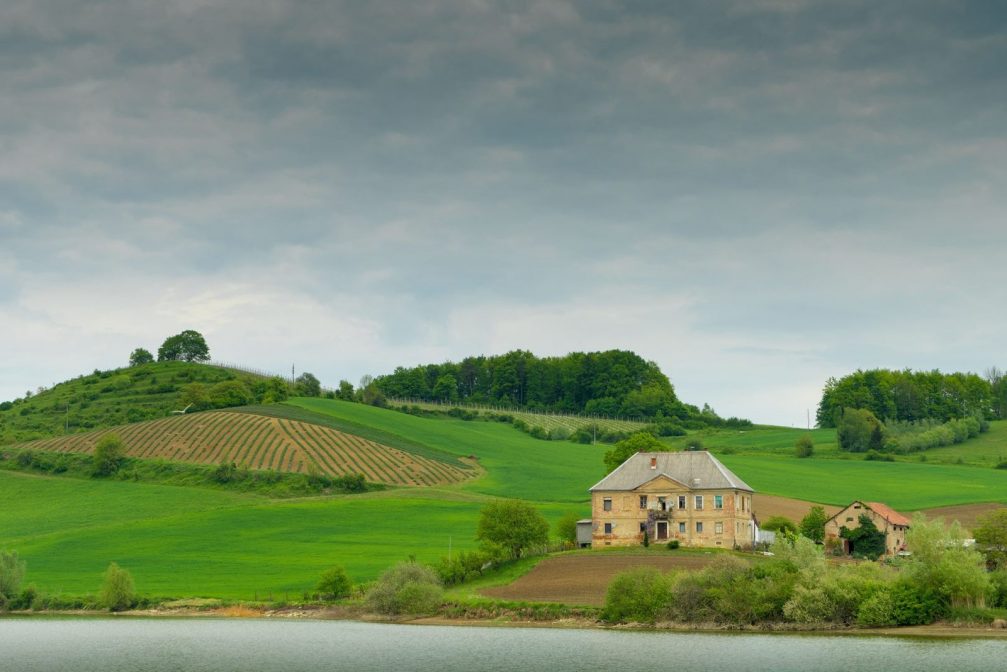 View of the beautiful green nature that surrounds Lake Pernica in Slovenia