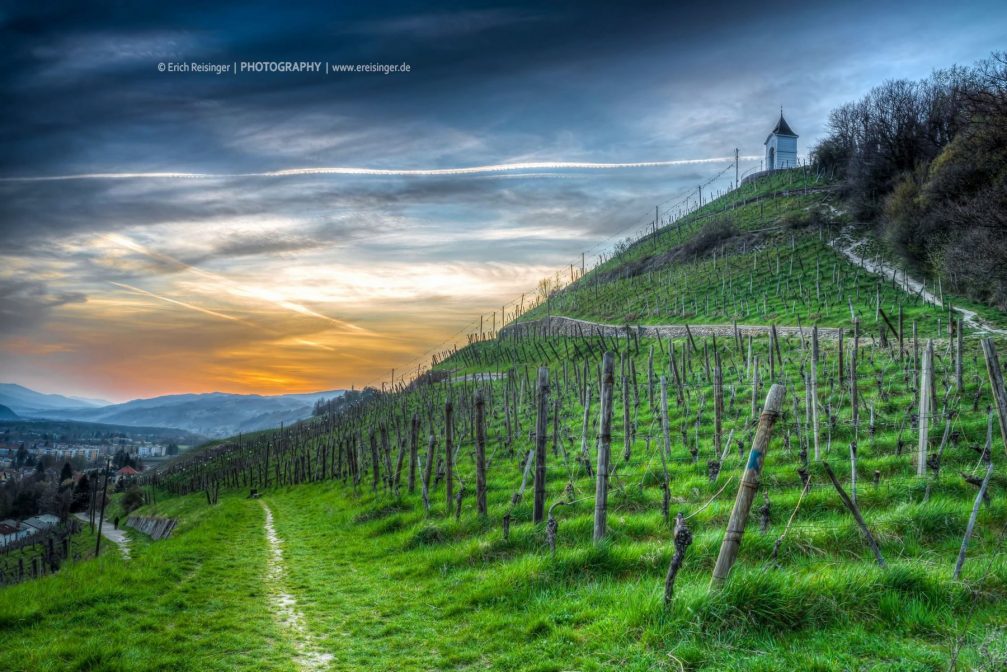 Pyramid Hill vineyards above the city of Maribor, Slovenia