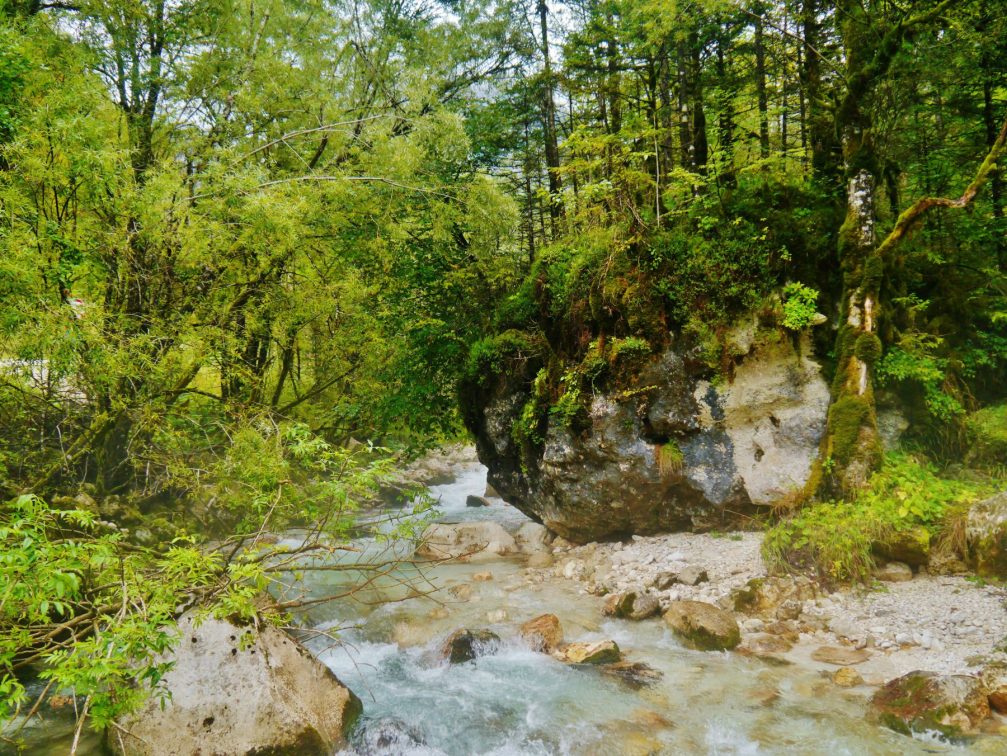 The Soca River near its source in the Triglav National Park in Slovenia