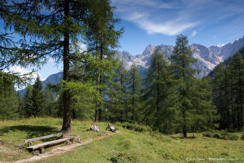 The beautiful green nature near Vrsic in the Julian Alps, Triglav National Park, Slovenia