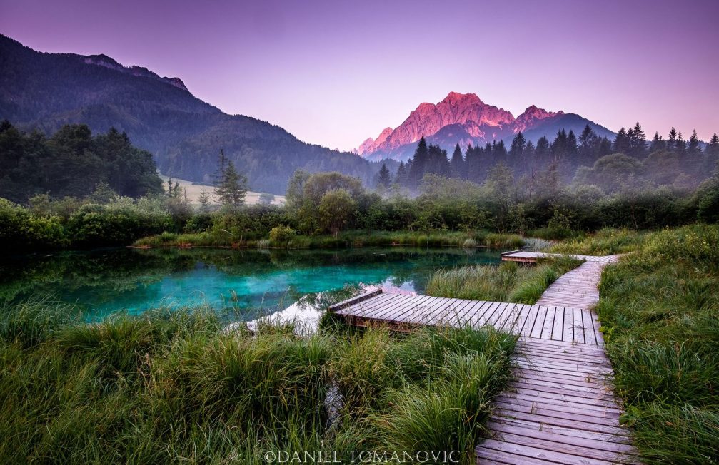 Lake Zelenci, part of the Zelenci Nature Reserve in northwestern Slovenia, with an observation trail