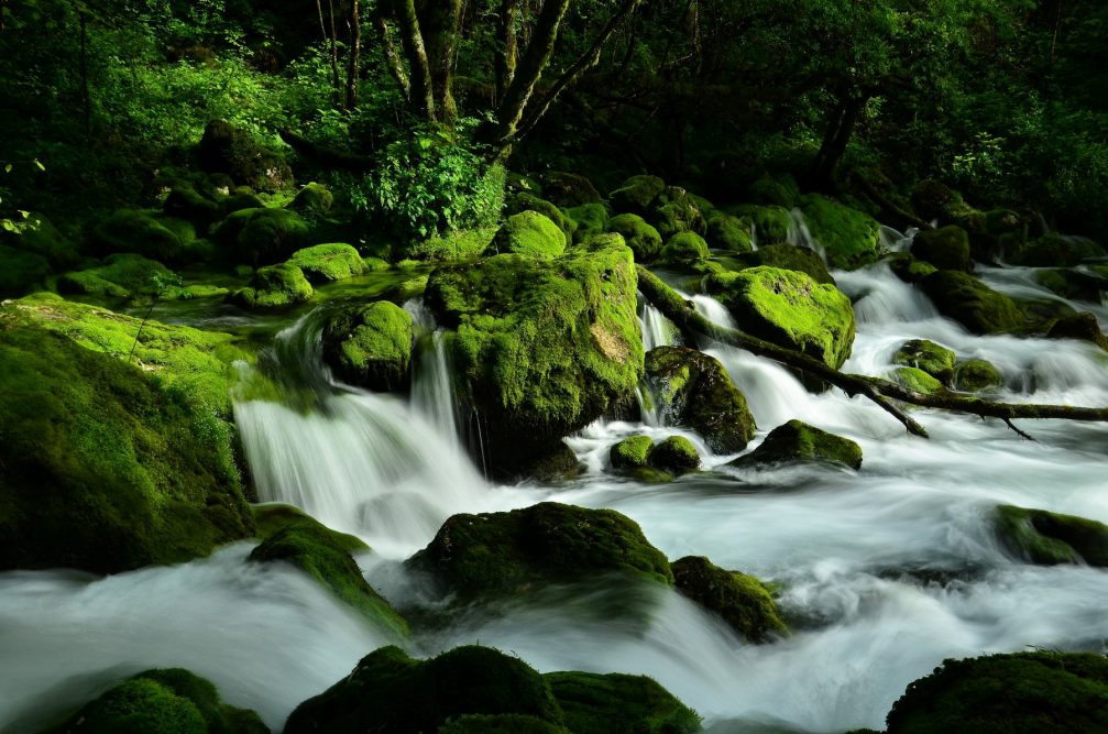 The source of the Gljun Stream with the water bursting from beneath the moss-covered rocks