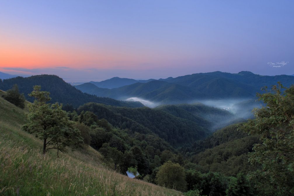 An elevated view of the densely forested hilly landscape from Jamnik