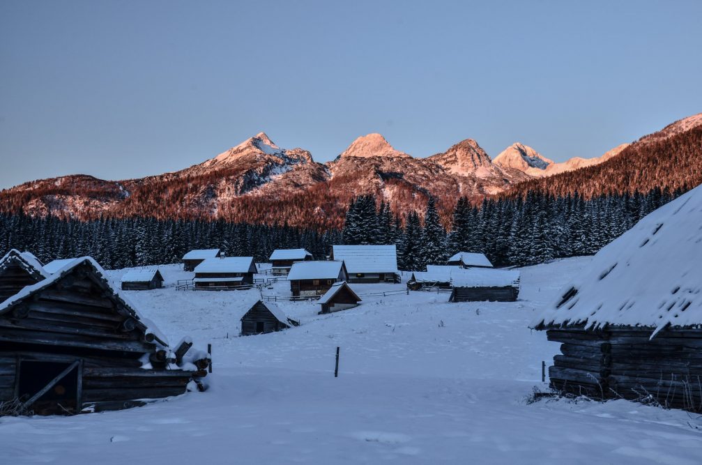 Javornik pasture at Pokljuka plateau with the Julian Alps in the background