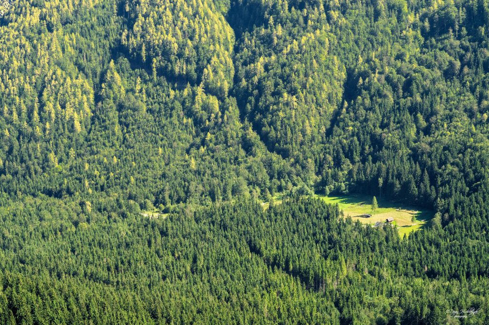 A view from the Ceska Koca mountain hut towards the green forests of the Jezersko valley