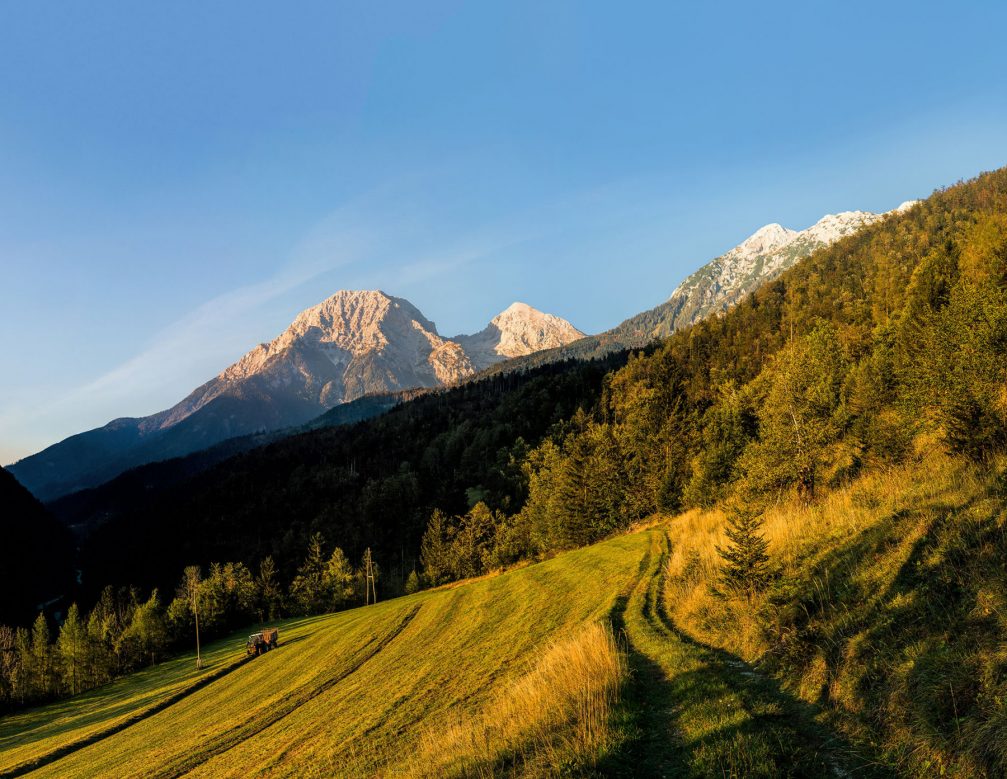 Newly harvested grass in the countryside in Slovenia