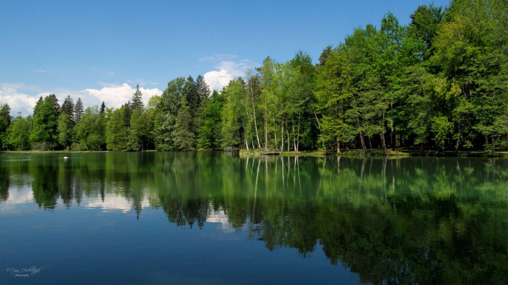 View of the Lake in the Brdo Park near Kranj, Slovenia