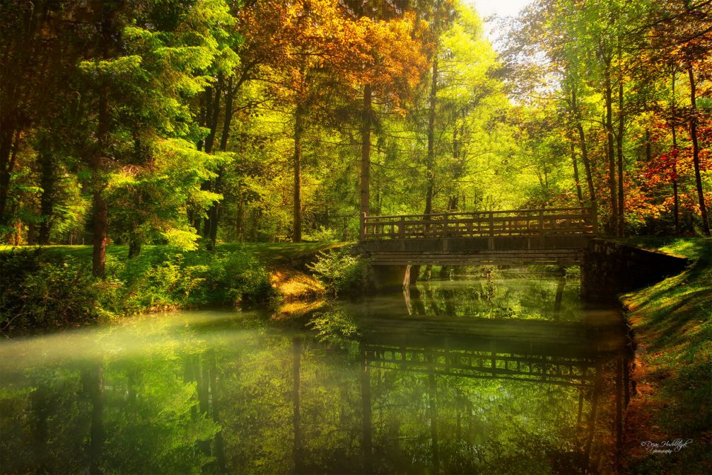 Park Brdo near Kranj, Slovenia in colorful autumn colors