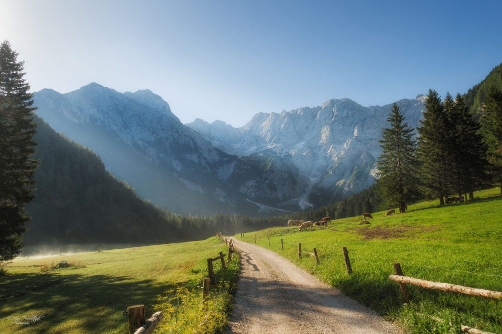 A dirt road leading through the Ravenska Kocna valley in Zgornje Jezersko, Slovenia