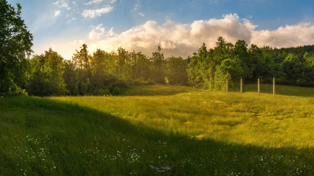 The green nature of the Stefanja Gora hill