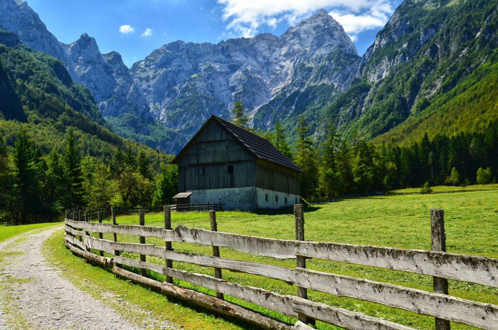 A dirt road leading through the Robanov Kot Valley towards Robanova Planina