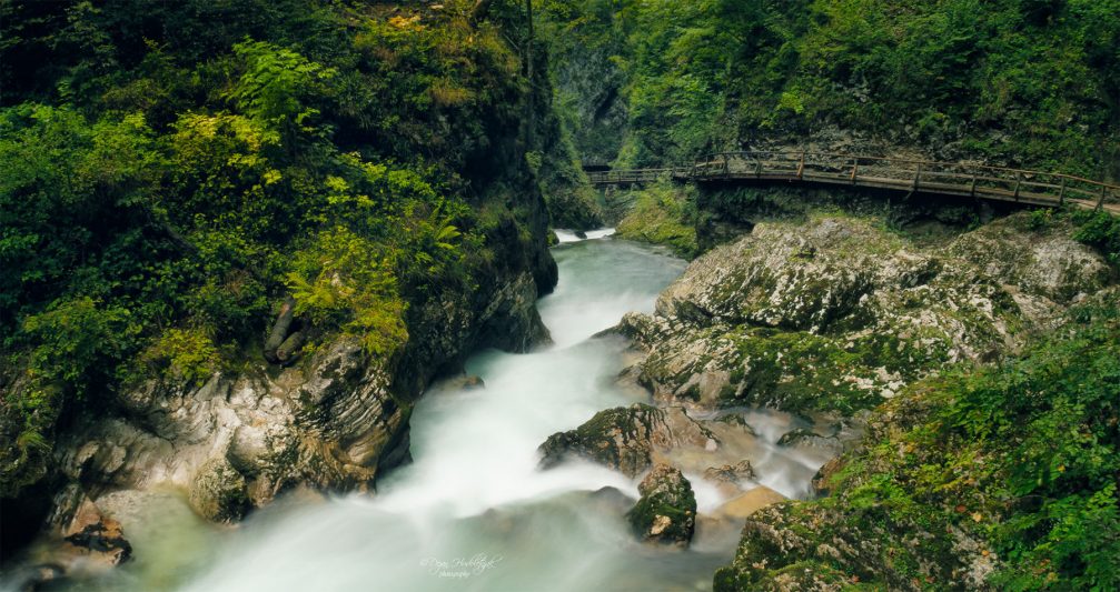 Vintgar Gorge, a spectacular 1600-metre-long and 150-metre-high canyon near Lake Bled, Slovenia