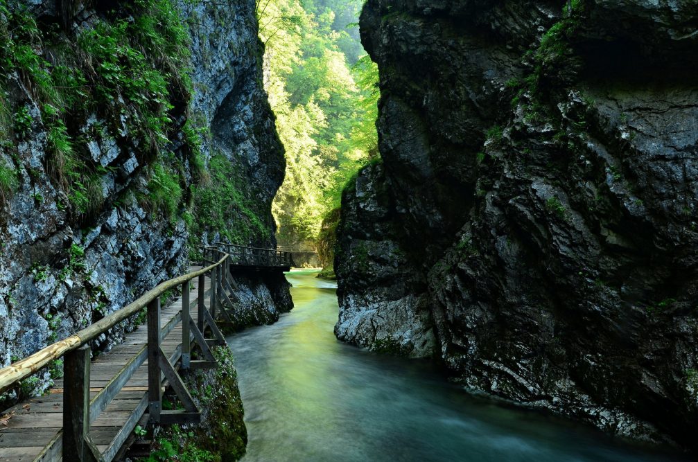 Crystal clear Radovna River flowing through the canyon walls of the Vintgar Gorge in Bled, Slovenia