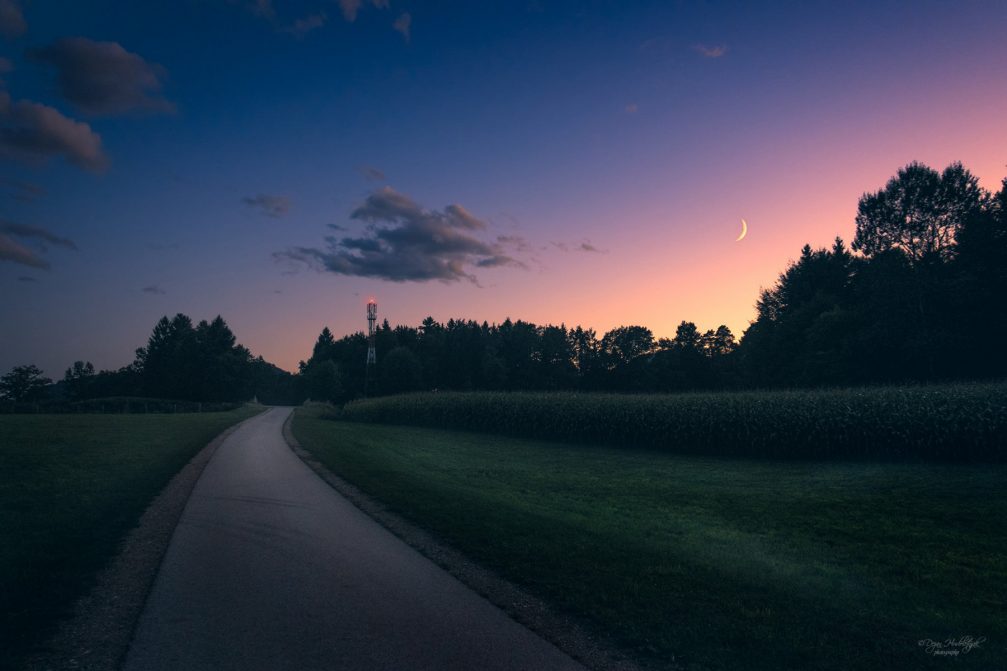 A narrow road leading through the countryside of Zlato Polje at night