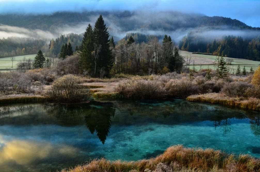 The emerald green Lake Zelenci in Slovenia