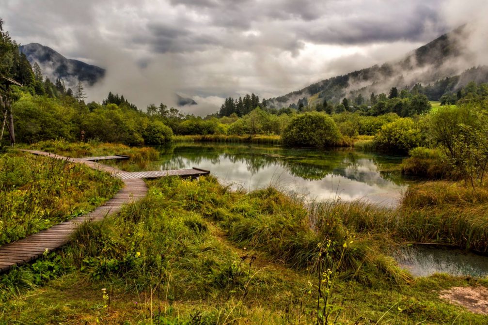 Pristine, visually striking area of the Zelenci nature reserve with its lake