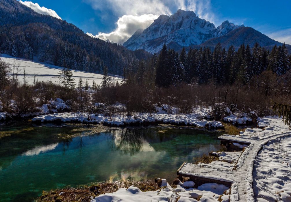 Lake Zelenci and Nature Reserve in winter decorated by a covering of snow