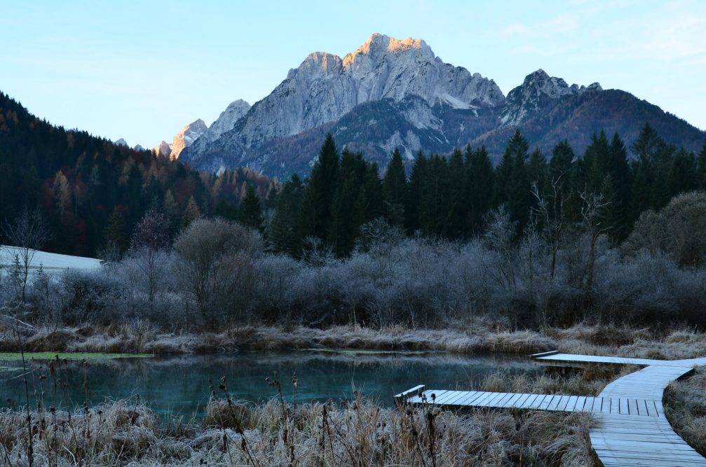 Lake Zelenci and Zelenci Nature Reserve in on a winter morning