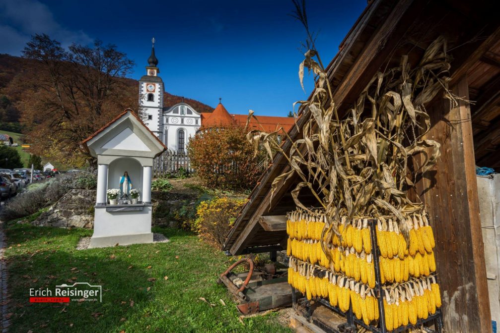 The Olimje Monastery premises with a Baroque church with a bell tower in the background