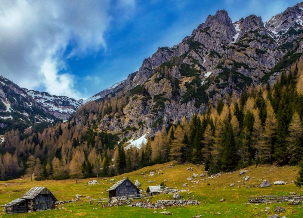Wooden huts on the Planina Konjscica alpine meadow on the Pokljuka plateau in northwestern Slovenia