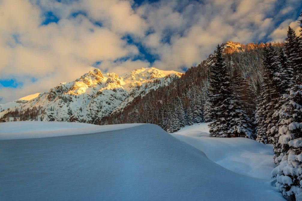 The Planina Konjscica alpine meadow on the Pokljuka plateau in winter with lots of snow