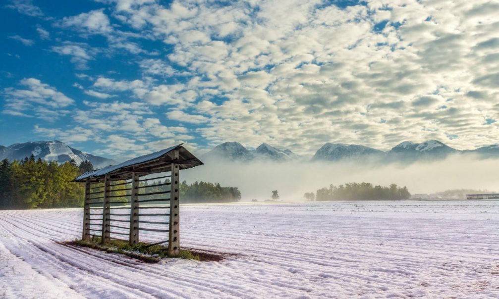 The Kozolec, Slovenia's unique hayrack, snow-covered, up against an Alpine landscape