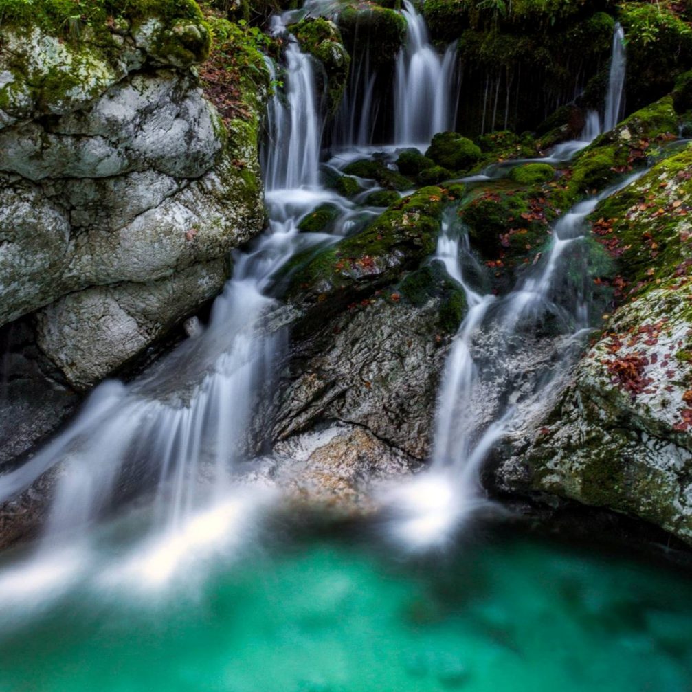 Water hurst of Sunik or Sunikov Vodni Gaj in the Lepena valley in Triglav National Park