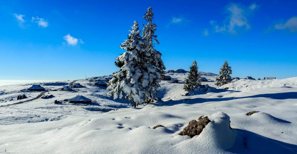 The herdsmen's huts on the Velika Planina plateau in winter with plenty of snow