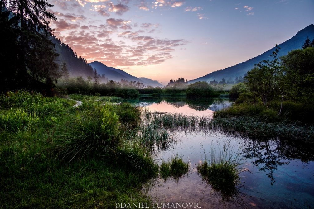 Pristine nature of the Zelenci Nature Reserve in northwestern Slovenia