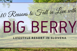 10 Reasons to Fall in Love With Big Berry Camp in Slovenia