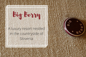 Big Berry, A luxury resort nestled in the countryside of Slovenia