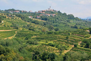 Brda:, The Tuscany of Slovenia