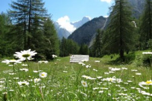 Driving the Vrsic Pass in Triglav National Park