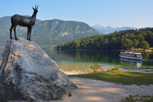 Find Beauty and Tranquility at Lake Bohinj