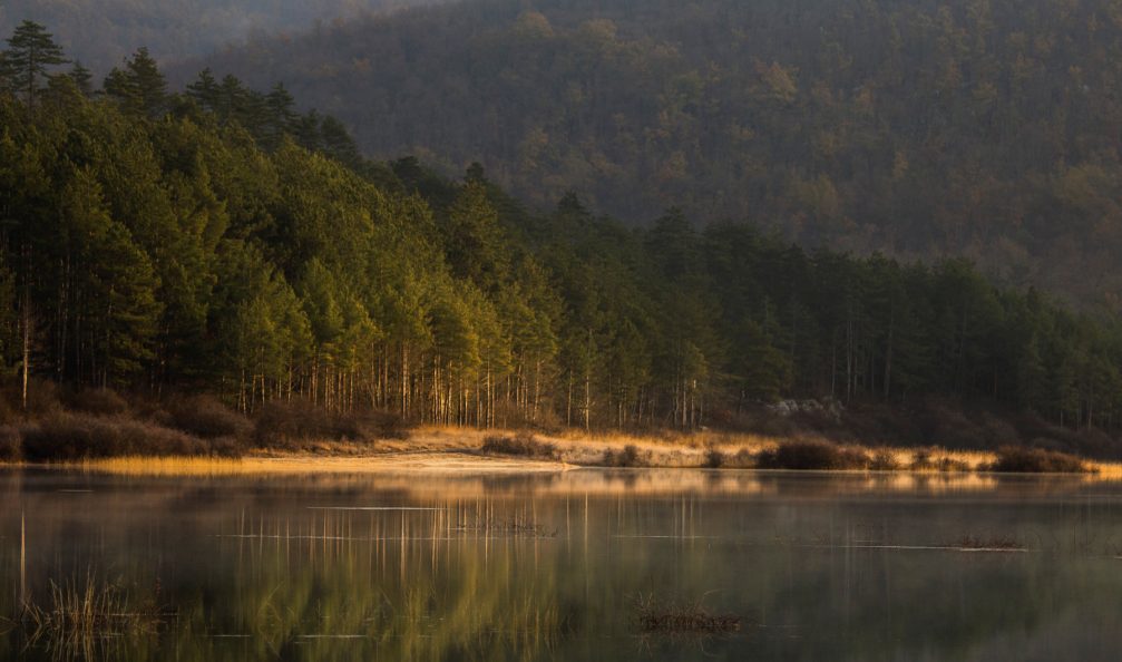 A view of the intermittent Palsko Jezero lake in the Pivka basin in southwestern Slovenia