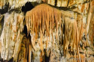 Visiting The Amazing Postojna Caves, Slovenia