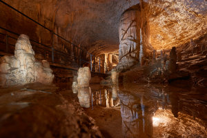 Dazzled by the sheer natural beauty of the Postojna Caves, Slovenia